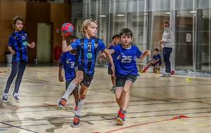 École de Handball du RNHB