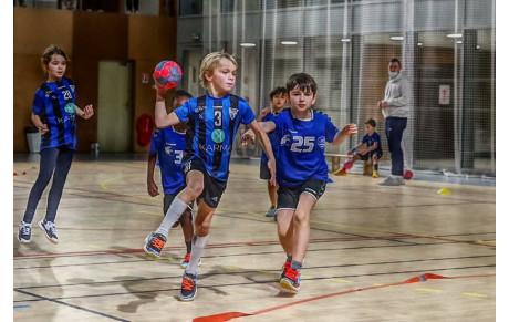 École de Handball du RNHB